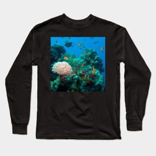 Coral reef Long Sleeve T-Shirt